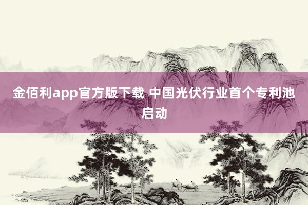 金佰利app官方版下载 中国光伏行业首个专利池启动
