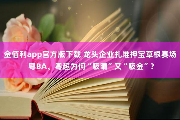 金佰利app官方版下载 龙头企业扎堆押宝草根赛场 粤BA、粤超为何“吸睛”又“吸金”？