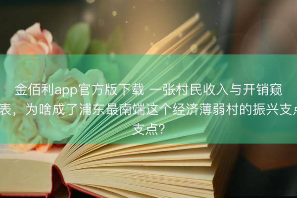 金佰利app官方版下载 一张村民收入与开销窥探表，为啥成了浦东最南端这个经济薄弱村的振兴支点？